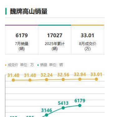魏牌高山7預售28.98萬起!這是要跟騰勢D9硬剛到底?