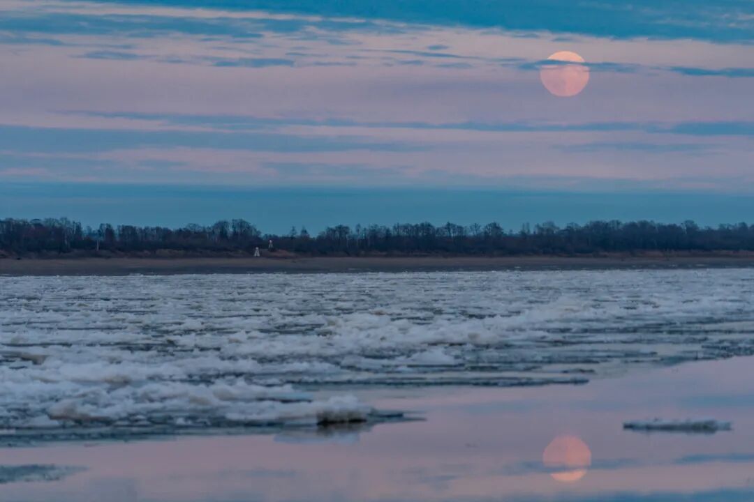 全網都在拍的“超級月亮”,高清大圖來了!